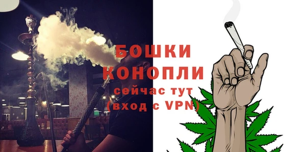 гидра Каменск-Шахтинский