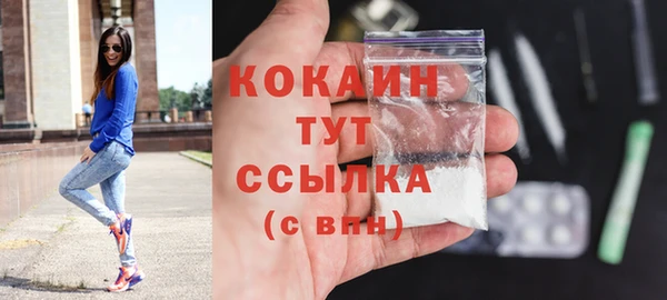 гидра Каменск-Шахтинский