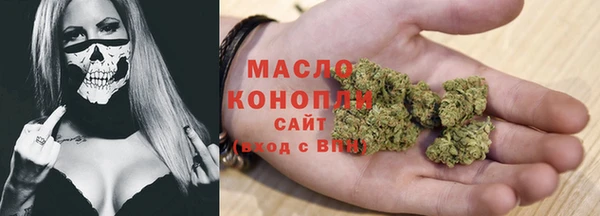 дмт Каменногорск