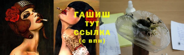 гидра Каменск-Шахтинский