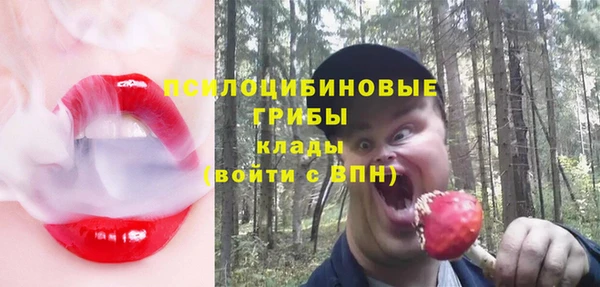 дмт Каменногорск