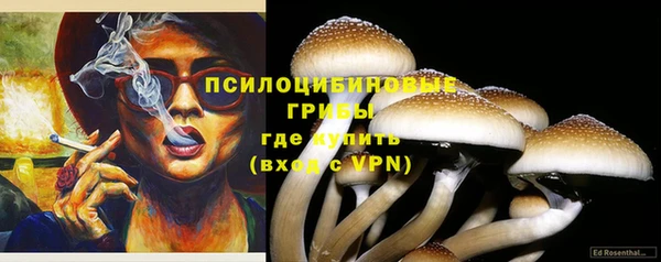 a pvp Каменка