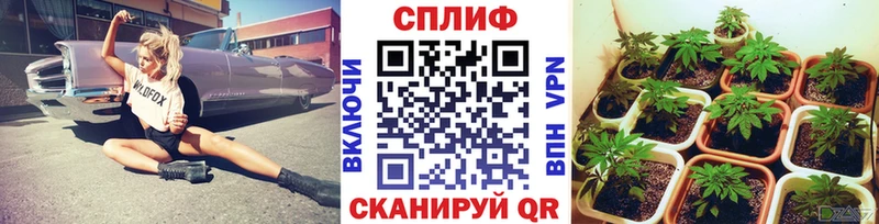 Марихуана White Widow  Купить где  Бородино 